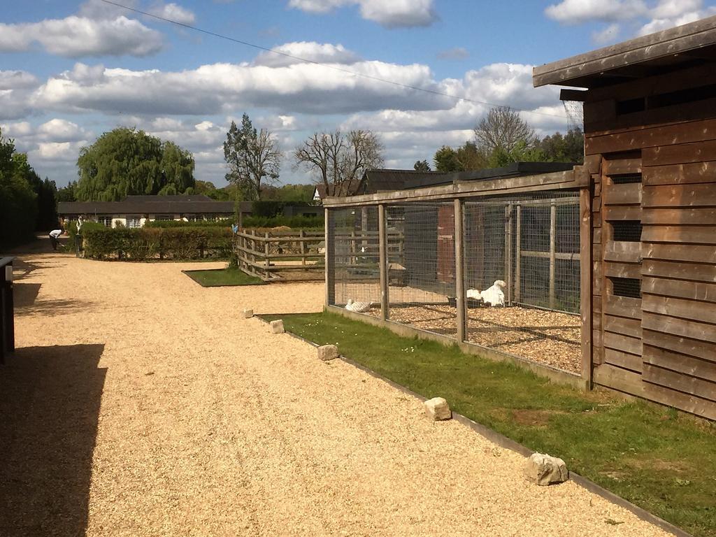 Willow Court Farm Studio West & Petting Farm, 8 Mins To Legoland & Windsor, 15 Mins To Lapland Ukヴィラ エクステリア 写真